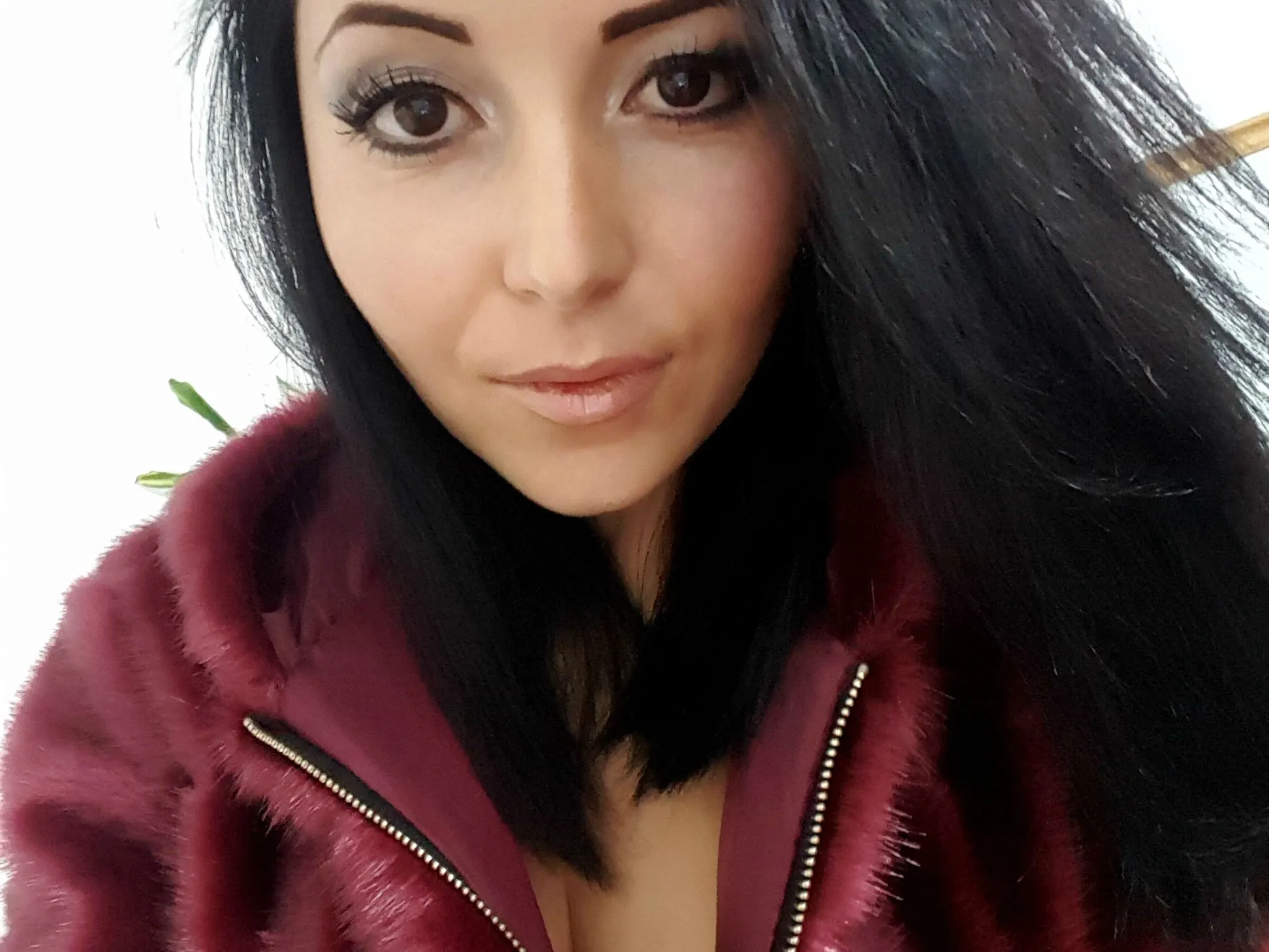 FoxyLia image 2